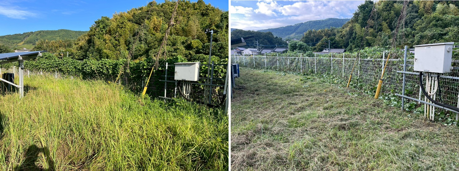 除草作業の様子