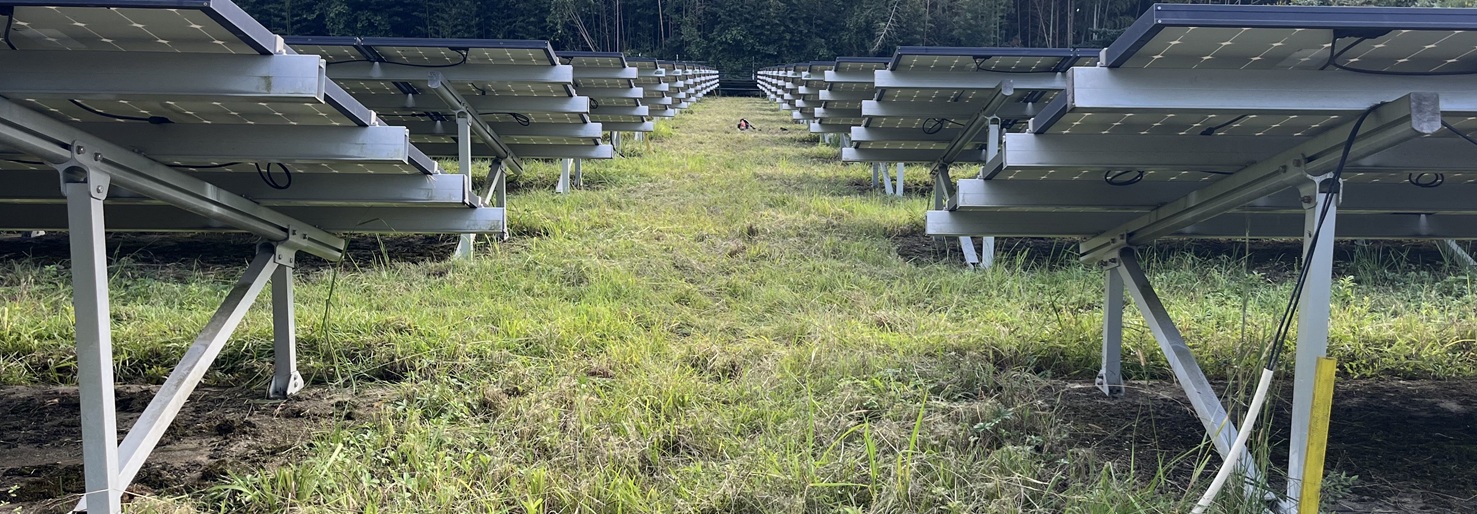 フルーティまさお